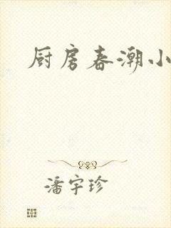 厨房春潮小说