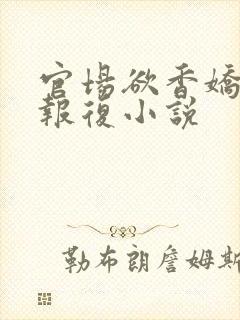 官场欲香娇妻的报复小说