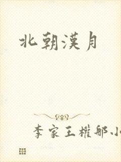 北朝汉月