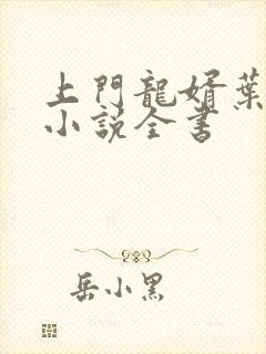 上门龙婿叶辰的小说全书