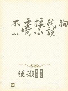 不要揉我胸嗯……啊小说封面