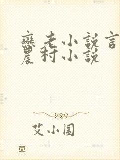 恋老小说言情网农村小说