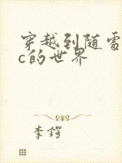 穿越到随处可以c的世界