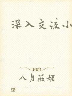 深入交流小说