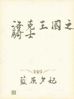 洛克王国之圣龙骑士