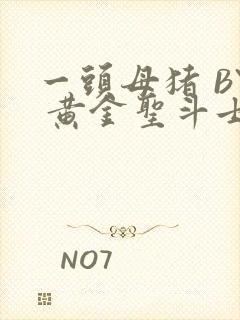 一头母猪 BY 黄金圣斗士封面