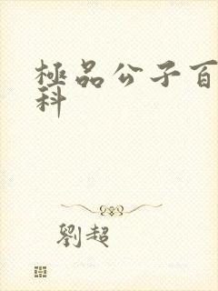 极品公子百度百科