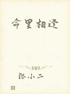 命里相逢封面