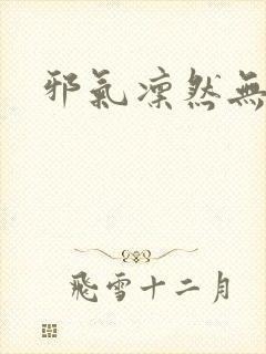 邪气凛然无弹窗