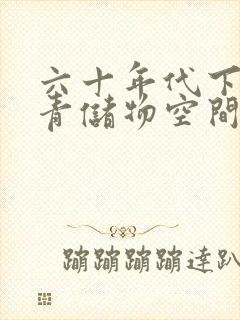 六十年代下乡知青储物空间