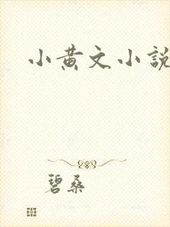 小黄文小说封面
