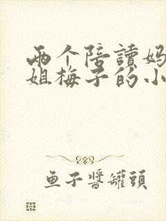 两个陪读妈妈赵姐梅子的小说封面