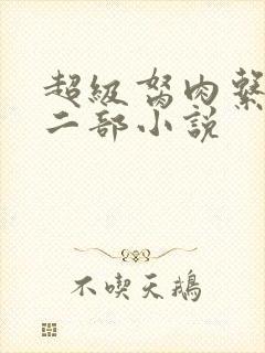 超级胬肉系统第二部小说封面