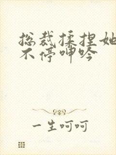 总裁揉捏她两乳不停呻吟封面