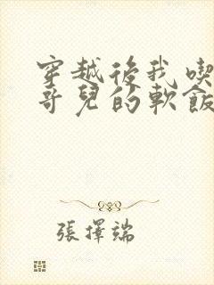 穿越后我吃到了哥儿的软饭炉山灰封面