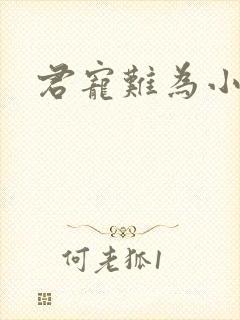 君宠难为小说封面