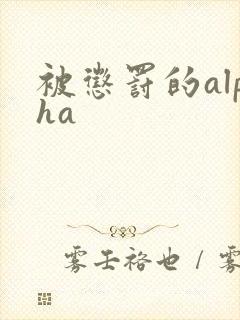 被惩罚的alpha