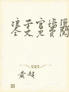 浪子官场猎艳记全文免费阅读