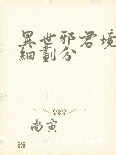 异世邪君境界详细划分封面