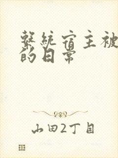 系统宿主被浇灌的日常