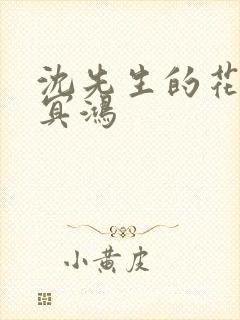 沈先生的花式调冥鸿封面