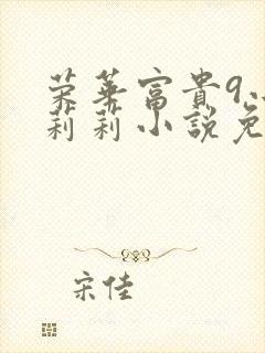 荣华富贵9小王莉莉小说免费阅读封面