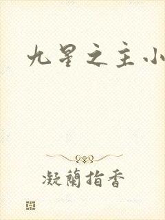 九星之主小说