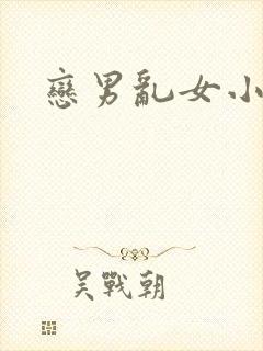 恋男乱女小说