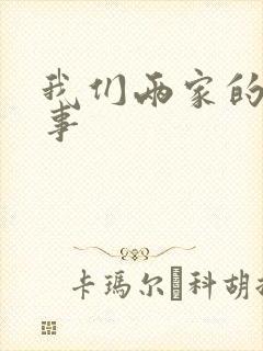 我们两家的荒唐事