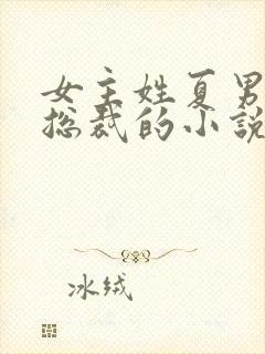 女主姓夏男主是总裁的小说封面