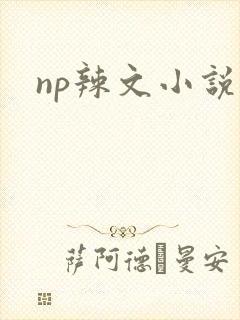 np辣文小说