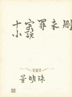十宗罪未删减版小说封面
