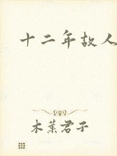 十二年故人戏封面