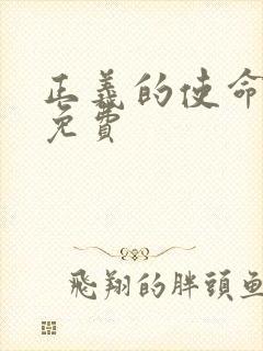 正义的使命全文免费