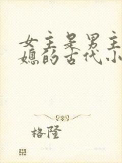 女主是男主的弟媳的古代小说封面