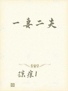 一妻二夫