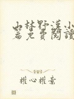 山林野汉小说全篇免费阅读