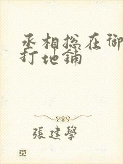 丞相总在御书房打地铺