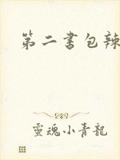 第二书包辣文