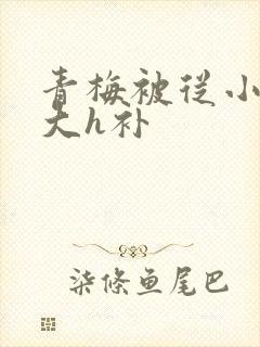 青梅被从小摸到大h补封面