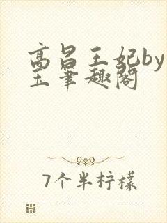 高昌王妃by黛玉笔趣阁