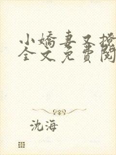 小娇妻又撩又甜全文免费阅读