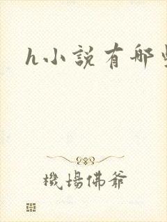 h小说有哪些封面