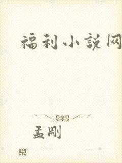 福利小说网
