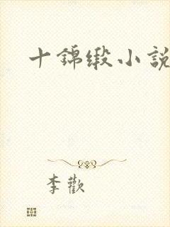 十锦缎小说封面
