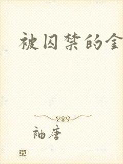 被囚禁的金丝雀