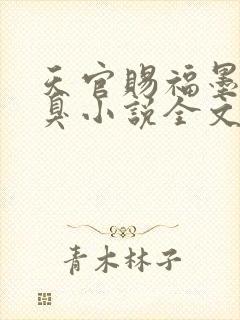 天官赐福墨香铜臭小说全文免费看