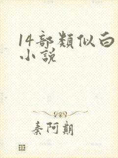 14部类似白洁小说封面