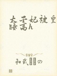 太子妃被皇上强睡高h封面