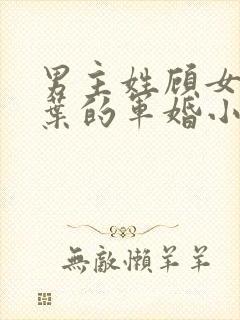 男主姓顾女主姓叶的军婚小说